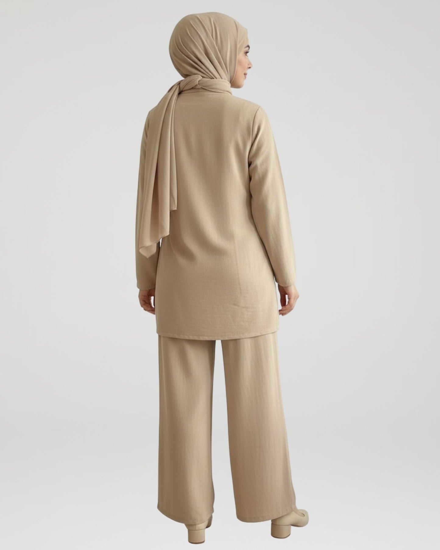 Ensemble ANAQA
